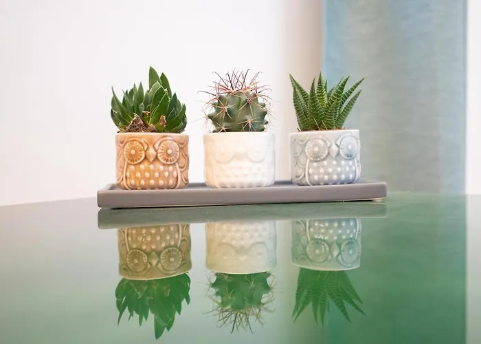 Machi La Civetta לצ'ה